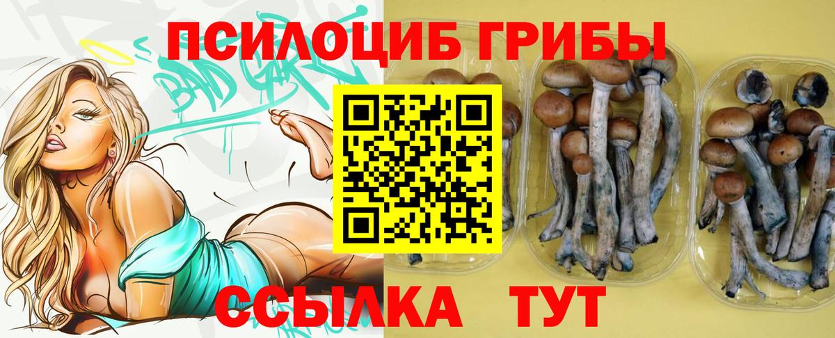 Псилоцибиновые грибы MAGIC MUSHROOMS  Вход с VPN  Соликамск 